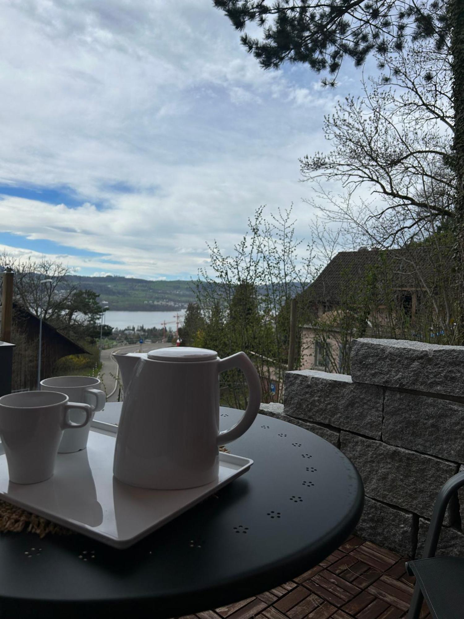 Apartment Modern With View Near Zurich Uetikon am See
