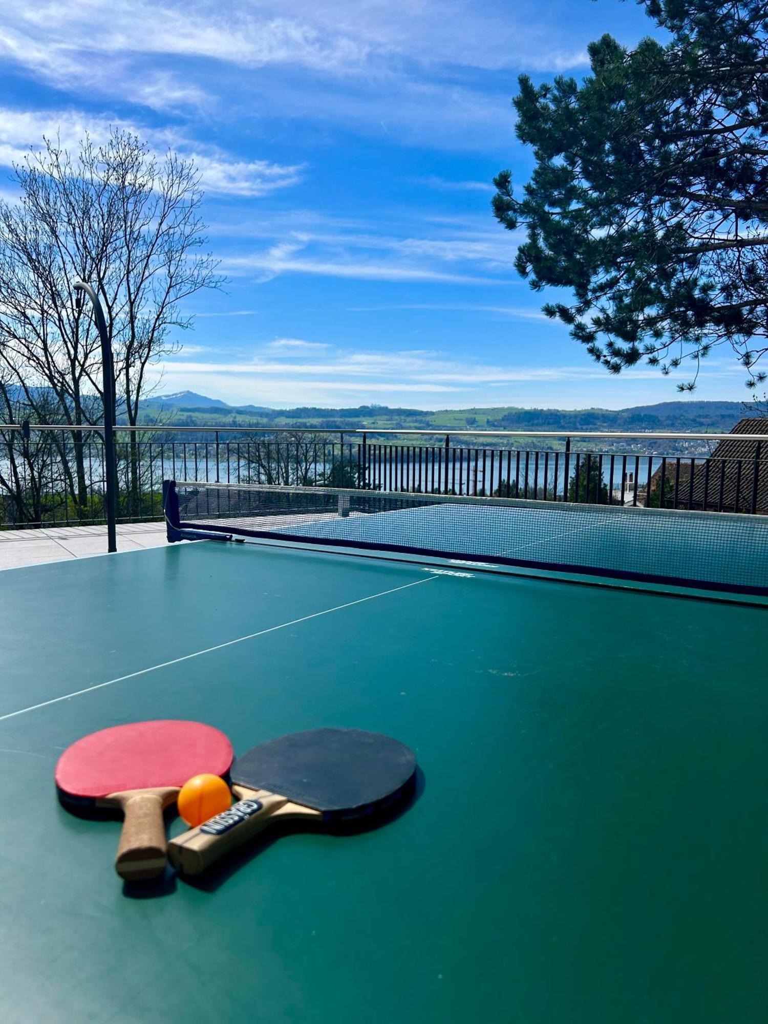 Modern With View Near Zurich *