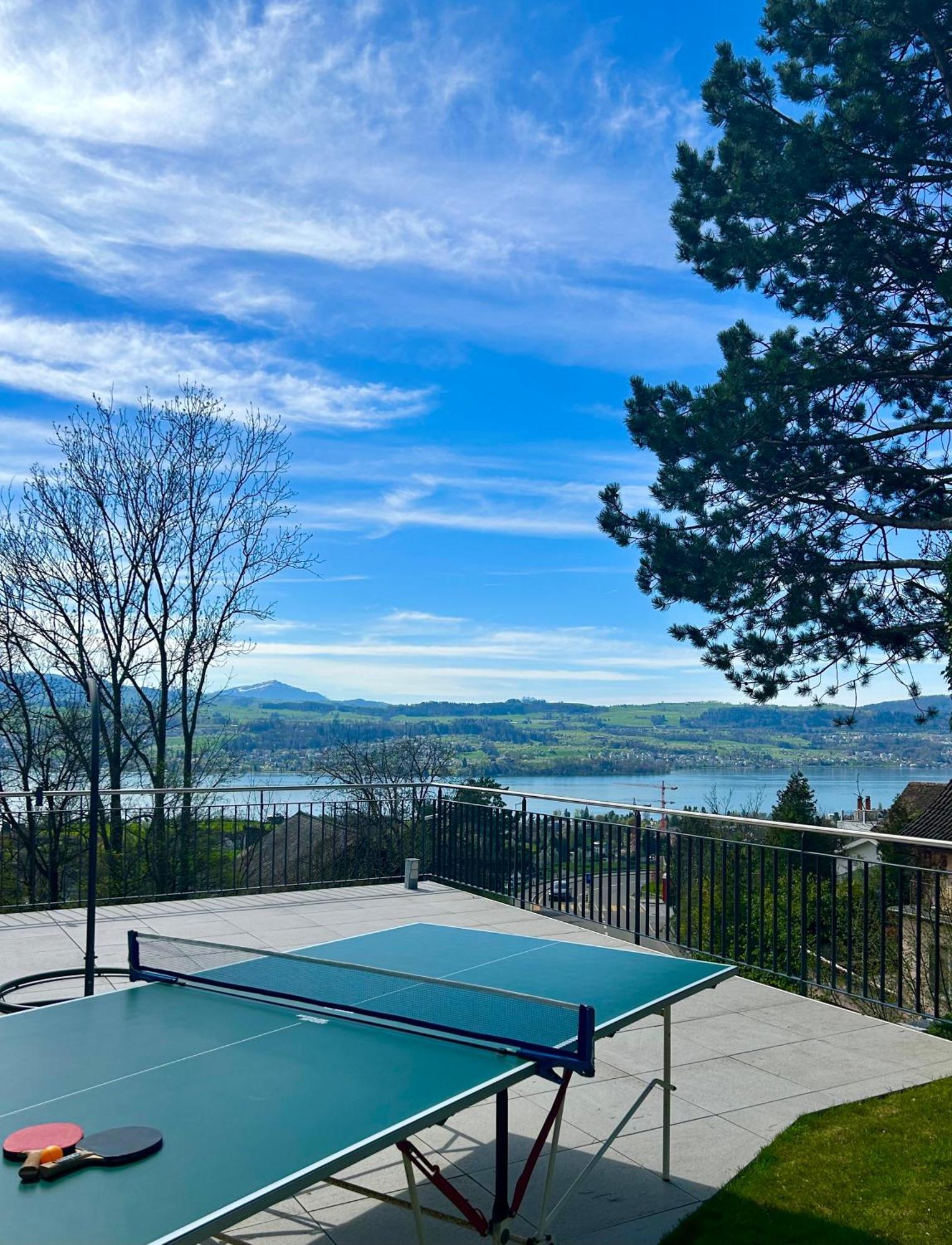 Apartment Modern With View Near Zurich Uetikon am See